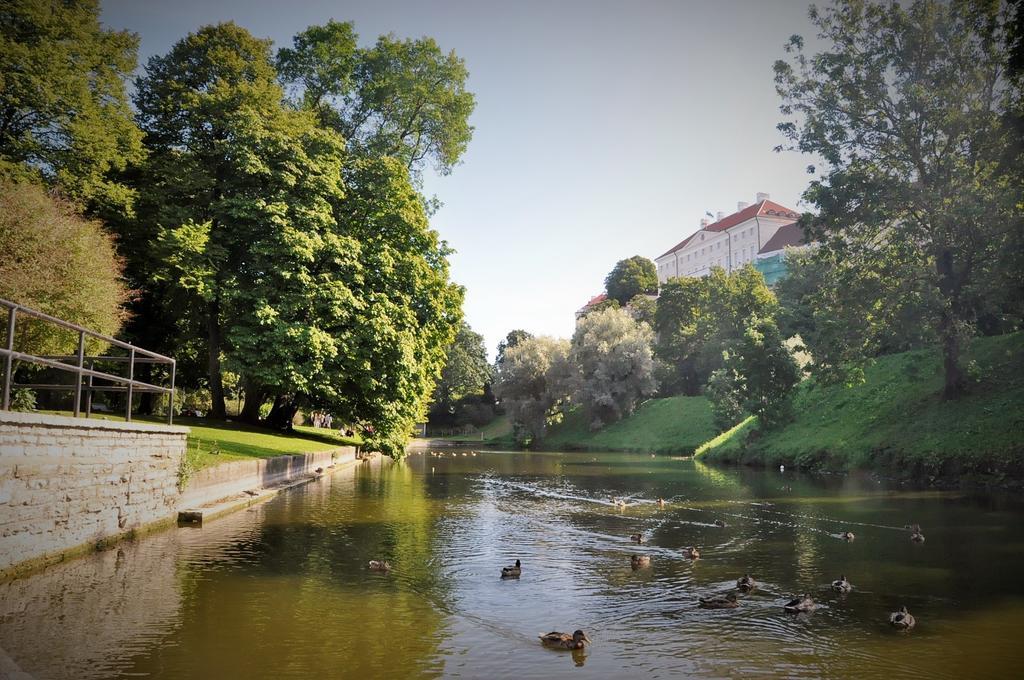 Calandra Apartment Талин Стая снимка